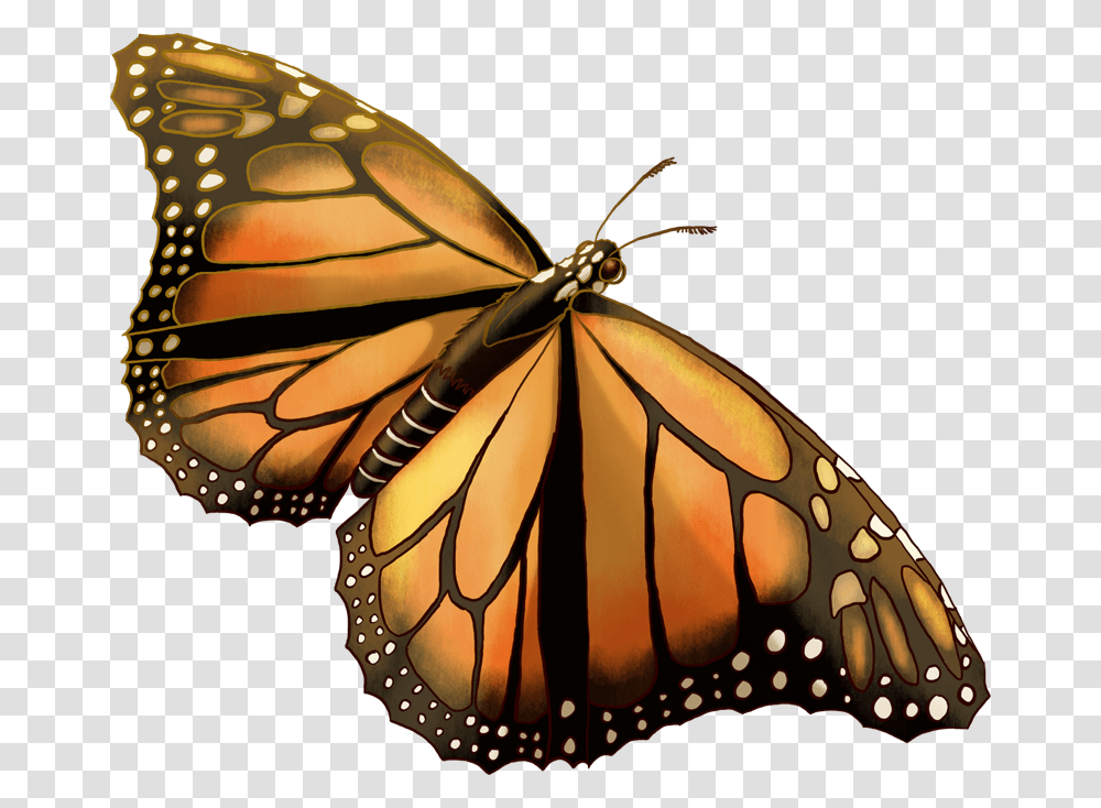 Monarch Butterfly, Lamp, Insect, Invertebrate, Animal Transparent Png