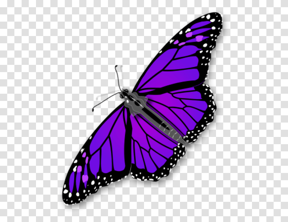 Monarch Butterfly Monarch Butterfly Gif, Insect, Invertebrate, Animal, Bow Transparent Png