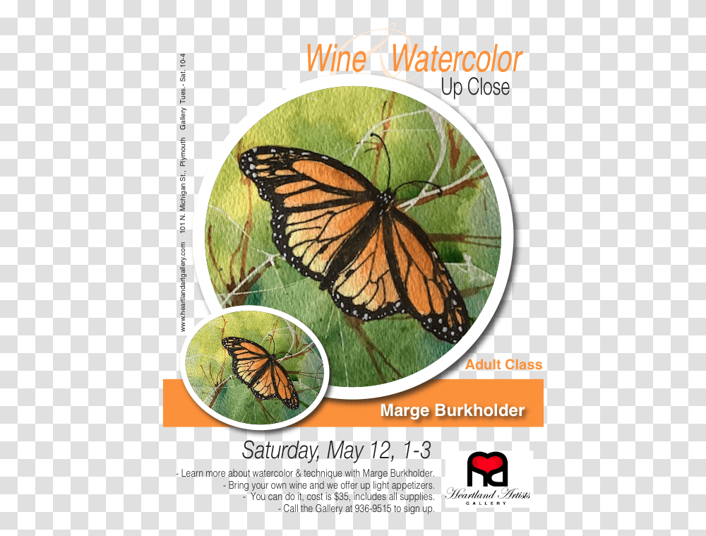 Monarch Butterfly Monarch Butterfly, Insect, Invertebrate, Animal, Advertisement Transparent Png