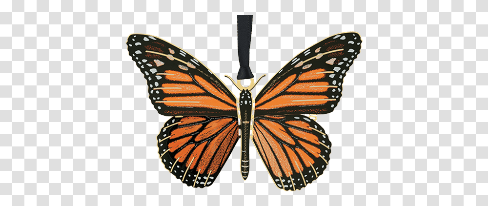 Monarch Butterfly Monarch Butterfly White Background, Insect, Invertebrate, Animal, Moth Transparent Png