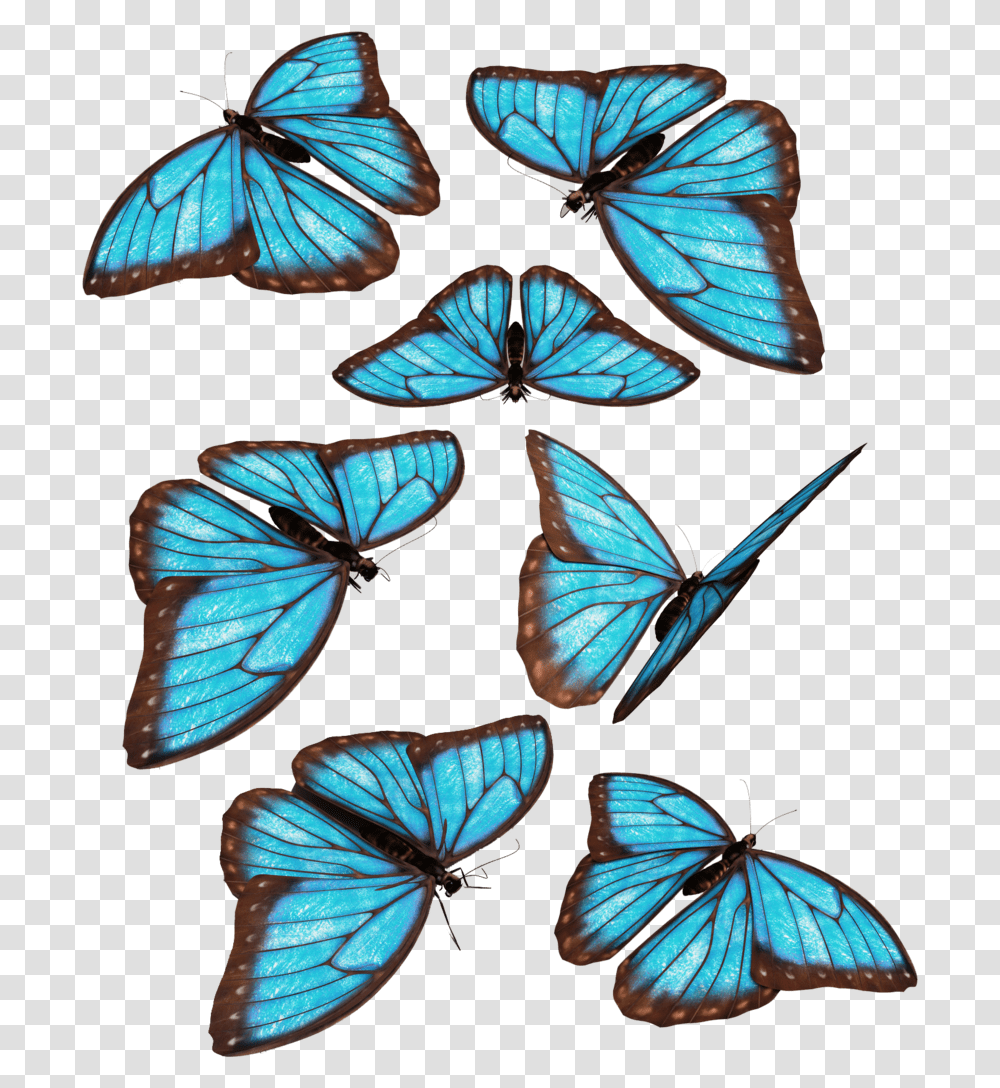 Monarch Butterfly Morpho Menelaus Blue Butterfly, Insect, Invertebrate, Animal, Moth Transparent Png