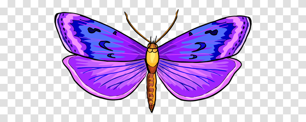 Monarch Butterfly Moth Brush Footed Butterflies Wing Free, Insect, Invertebrate, Animal, Firefly Transparent Png