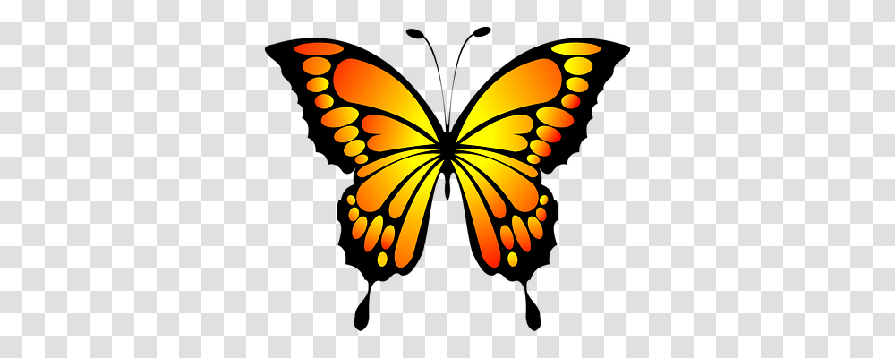 Monarch Butterfly Outline Clipart Free Clipart, Pattern, Ornament, Modern Art Transparent Png