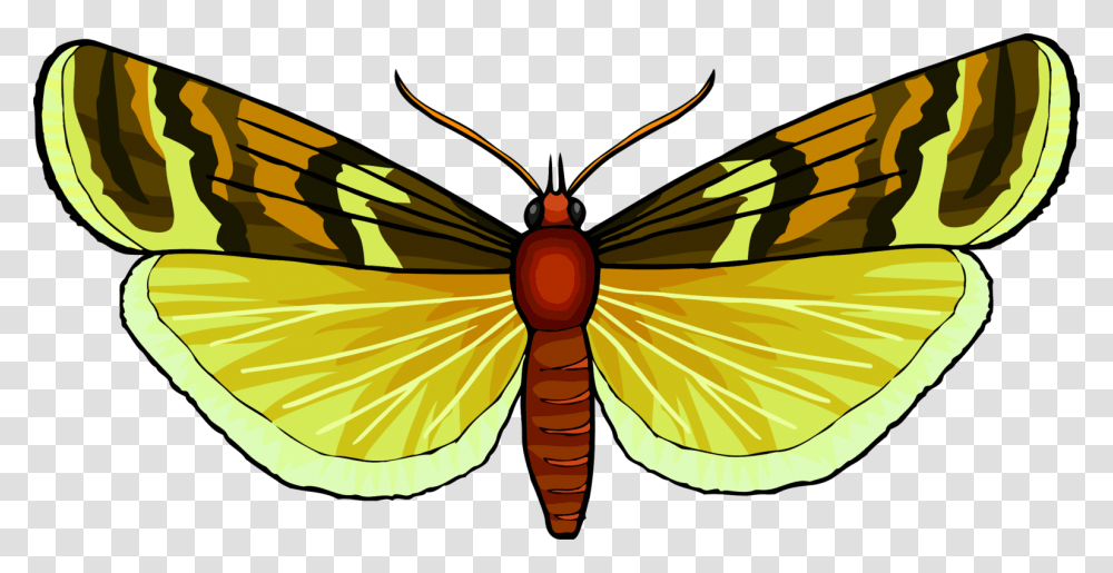Monarch Butterfly Pieridae Brush Footed Butterflies Insect Free, Invertebrate, Animal, Termite Transparent Png