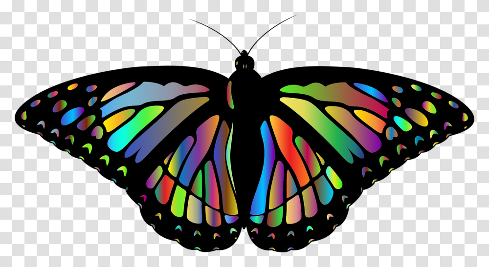 Monarch Butterfly Rainbow Art, Ornament, Pattern, Light Transparent Png