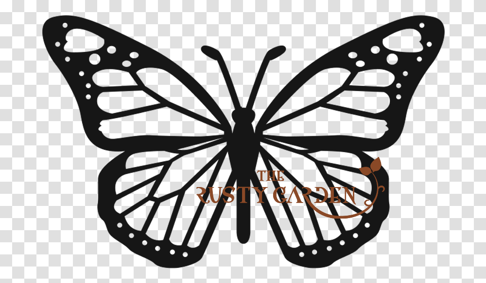 Monarch Butterfly, Plant, Flower, Blossom Transparent Png