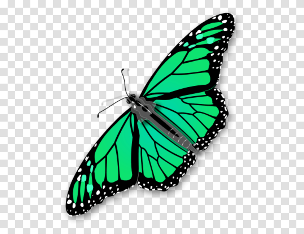 Monarch Butterfly Vector Clip Art Image, Insect, Invertebrate, Animal, Bow Transparent Png