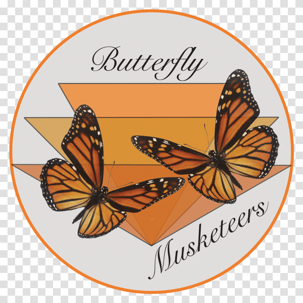 Monarch Butterfly With Drop Shadow, Insect, Invertebrate, Animal, Flea Transparent Png