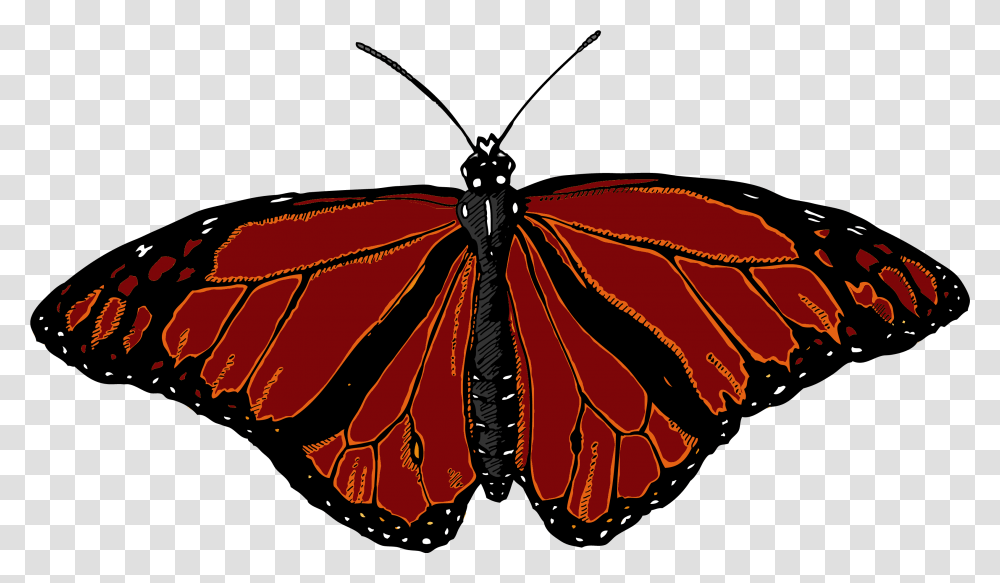 Monarch Butterfly With White Background, Insect, Invertebrate, Animal, Pattern Transparent Png