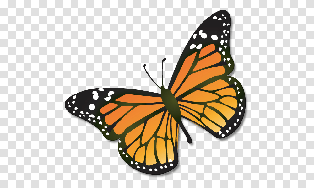 Monarch Clipart Animated Monarch Butterfly Clipart, Insect, Invertebrate, Animal Transparent Png