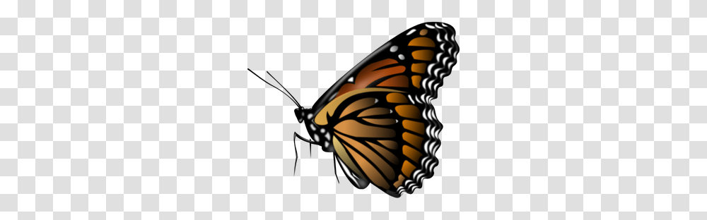 Monarch Free Clipart, Butterfly, Insect, Invertebrate, Animal Transparent Png