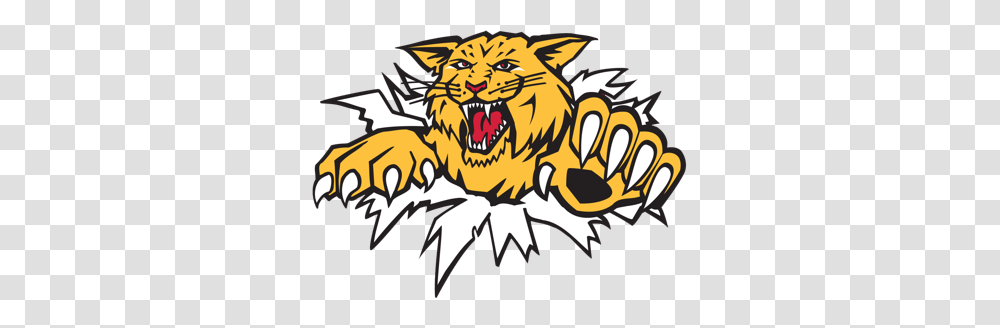 Moncton Wildcats Official Site Of The Moncton Wildcats, Animal, Hook, Mammal, Claw Transparent Png