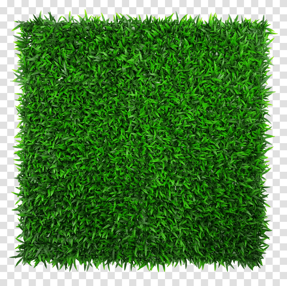 Mondo Hedge Screen Green Wall Panel Uv Resistant 100cm X Green Wall Samples Transparent Png