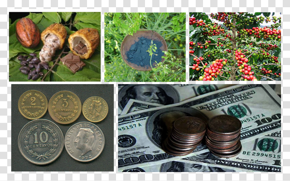 Monedas Y Billetes En Dolares Que Es Saldo En Contabilidad, Money, Coin, Bread, Food Transparent Png