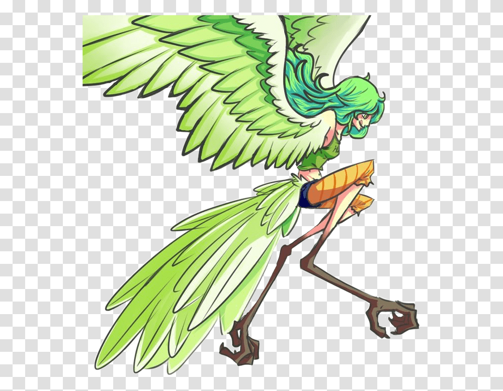 Monet Onepiece Harpy Monstergirlfreetoedit, Bird, Animal, Insect Transparent Png