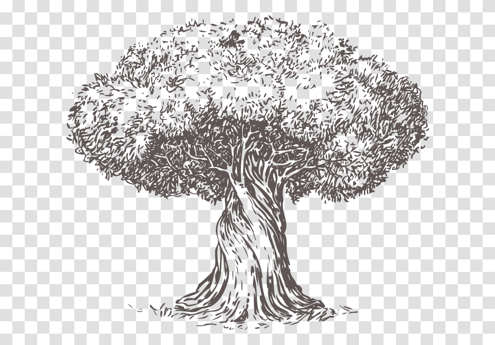 Money Cant Buy Happiness Old Olive Tree, Silhouette, Nature, Plant, Dinosaur Transparent Png
