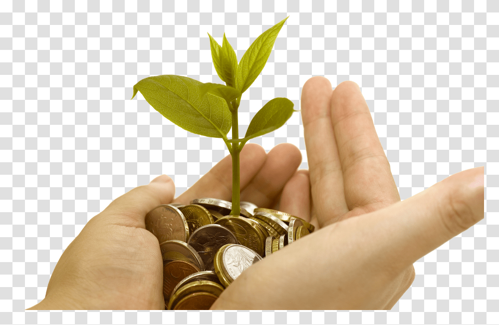 Money On Hand Transparent Png