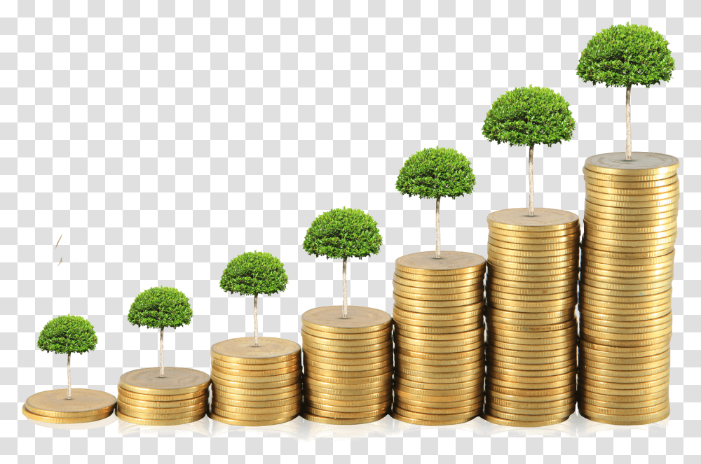 Money Saving Money, Leaf, Plant, Coin, Green Transparent Png