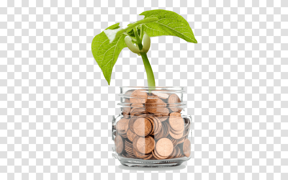 Money Tree Background Money Tree, Plant, Jar, Food, Dessert Transparent Png