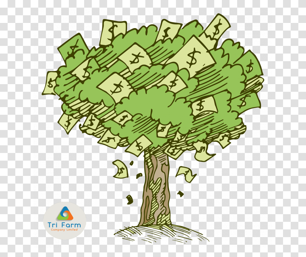 Money Tree Cartoon Money Tree Drawing, Poster, Green, Vegetation, Plant Transparent Png