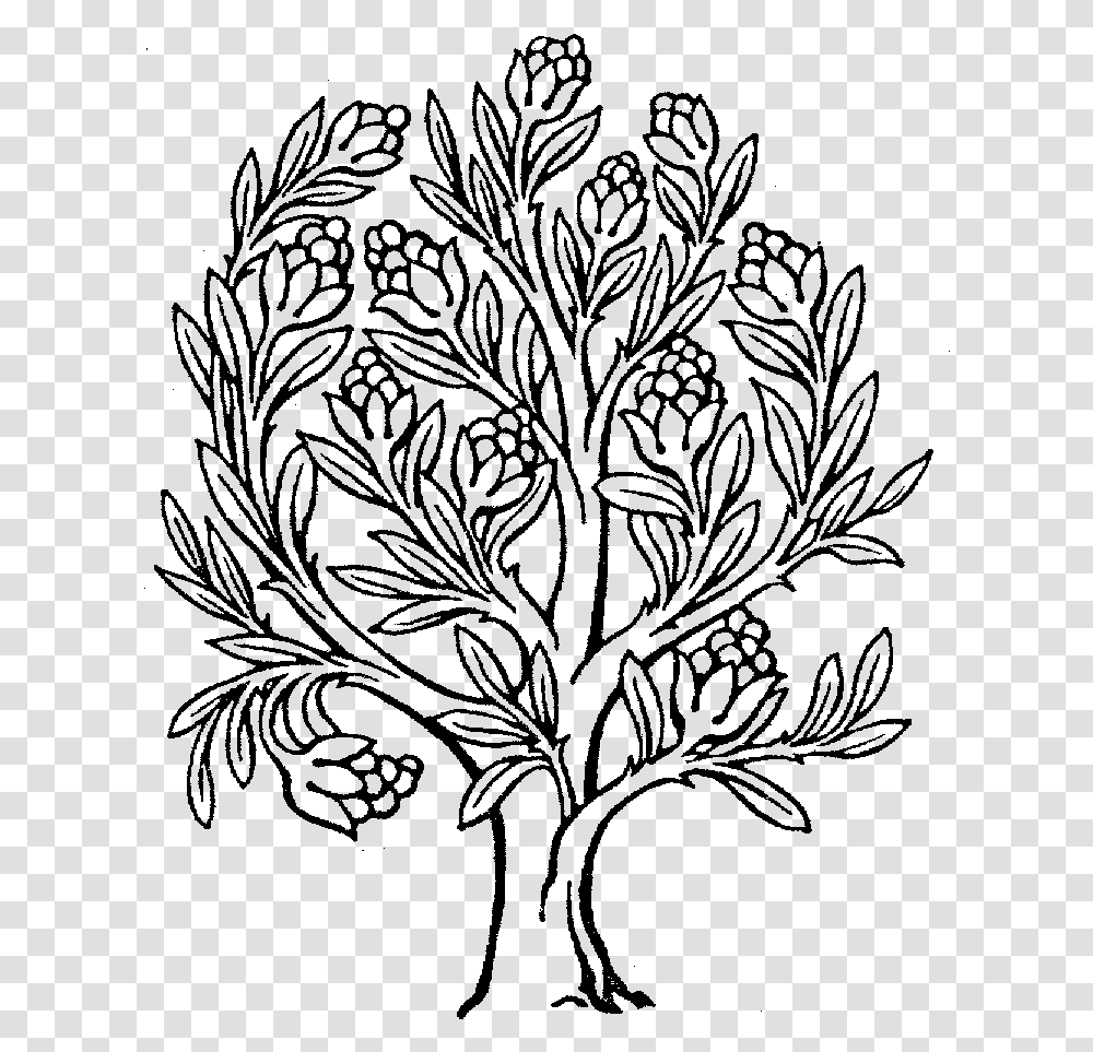 Money Tree Download Gifs Drawing Of Rubber Tree, Gray, World Of Warcraft Transparent Png