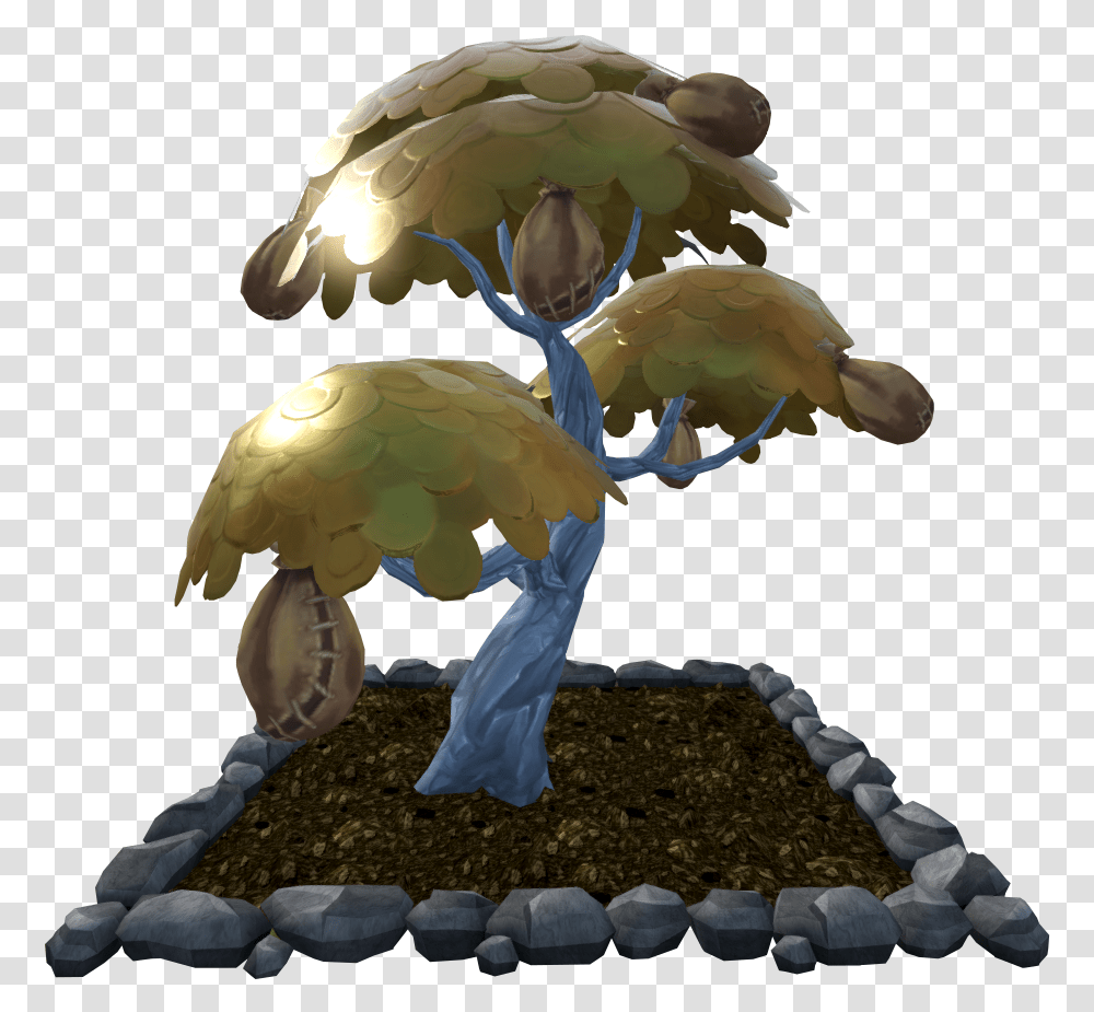 Money Tree Tree, Animal, Fungus, Sea Life, Invertebrate Transparent Png