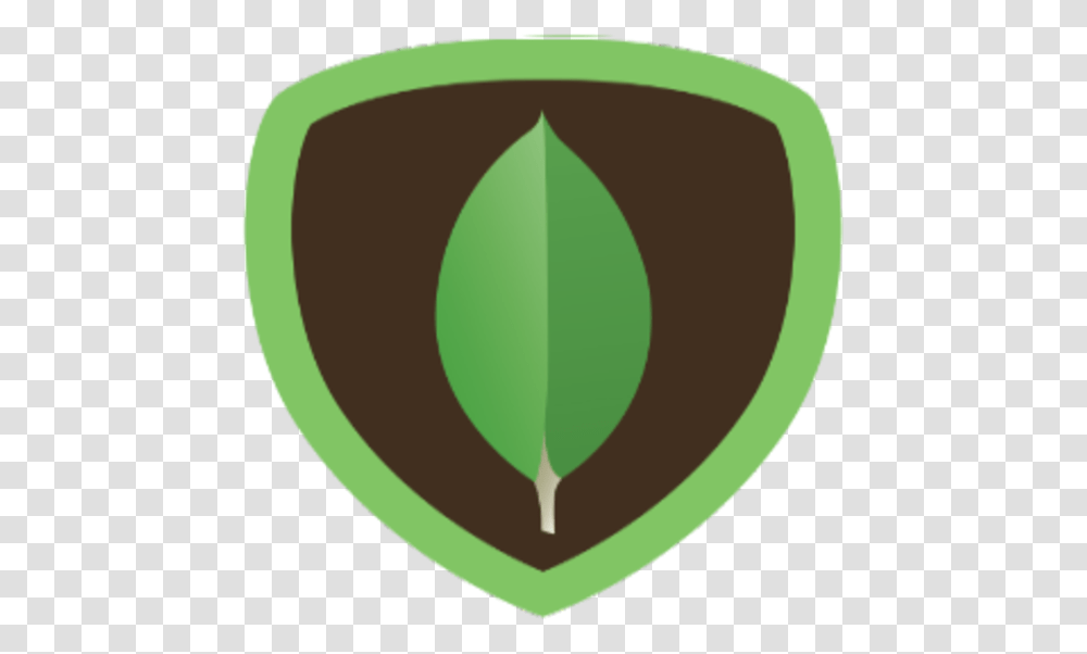 Mongodb Icon, Plant, Seed, Grain, Produce Transparent Png