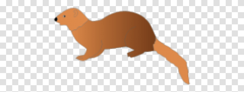 Mongoose Clipart Clip Art Ferret, Wildlife, Animal, Mammal, Aardvark Transparent Png