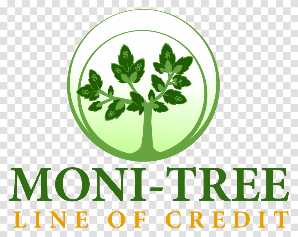 Moni Tree Line Of Credit Manchester Cooperative Credit Hanover College Indiana, Vase, Jar, Pottery, Potted Plant Transparent Png