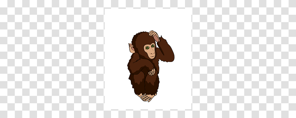 Monkey Ape, Wildlife, Mammal, Animal Transparent Png