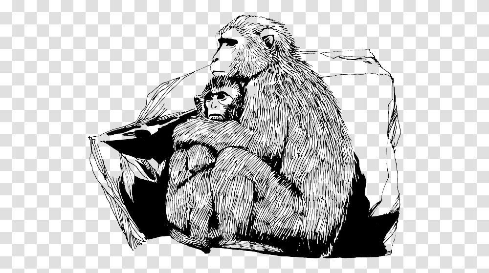 Monkey And Its Baby Sketch, Ape, Wildlife, Mammal, Animal Transparent Png