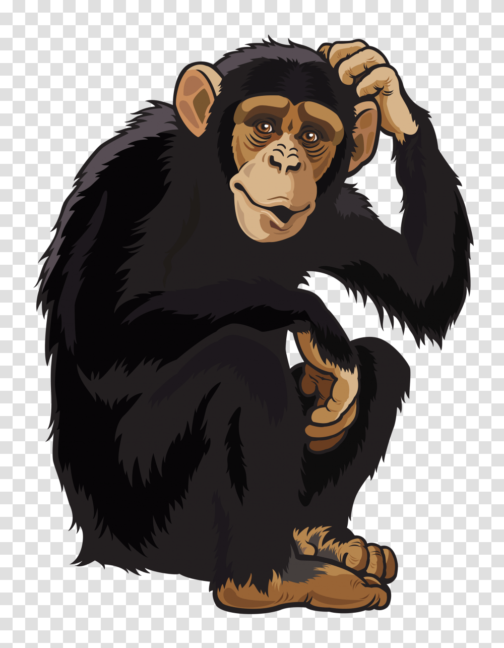 Monkey, Animals, Ape, Wildlife, Mammal Transparent Png
