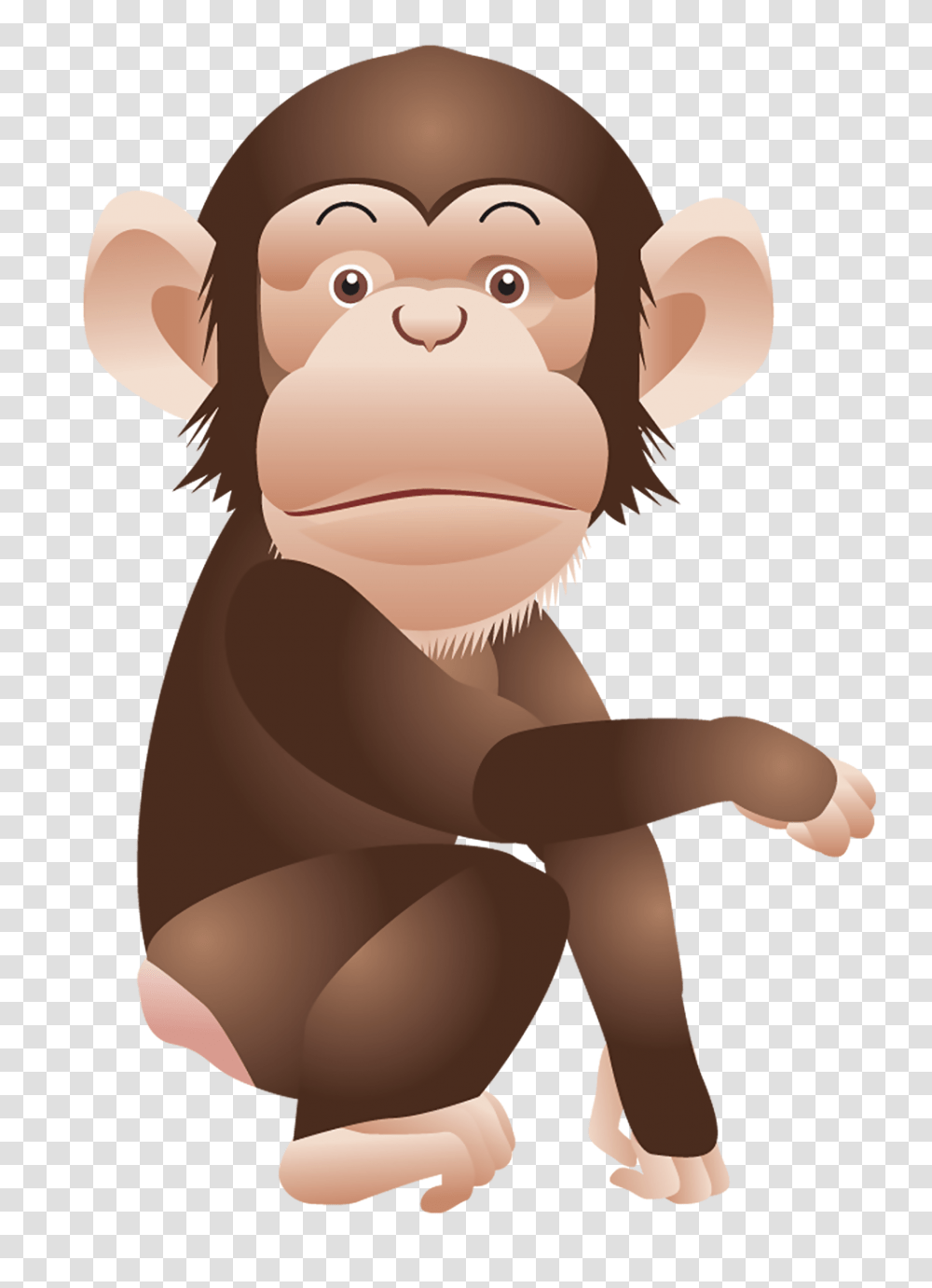 Monkey, Animals, Face, Person, Human Transparent Png