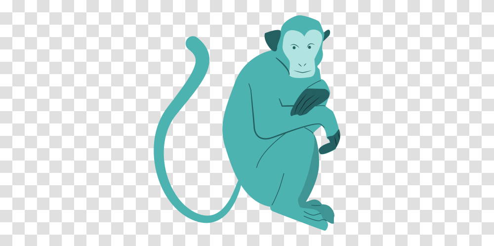 Monkey Background Image For Free Download Illustration, Wildlife, Animal, Ape, Mammal Transparent Png