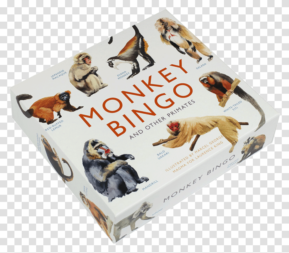Monkey Bingo Game 6 Puffin, Bird, Animal, Poster, Advertisement Transparent Png