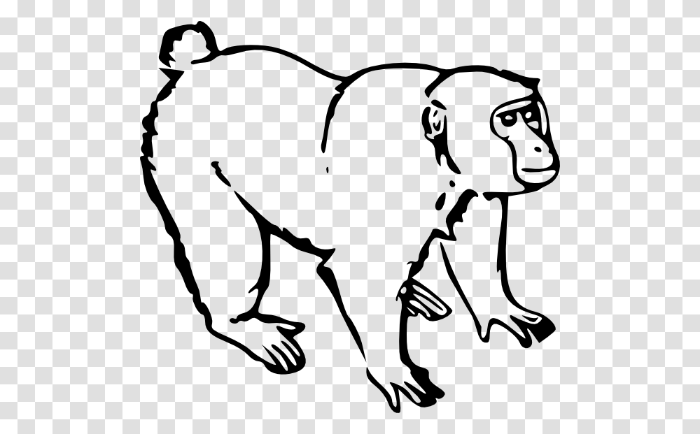 Monkey Clip Art, Stencil, Animal, Mammal, Wildlife Transparent Png