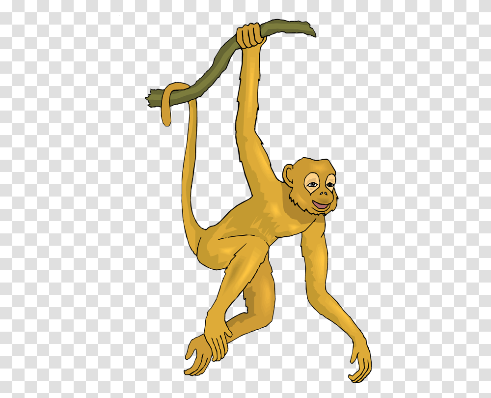 Monkey Clipart Spider Monkey Monkey Spider Monkey Realistic Monkey Clip Art, Person, Human, Acrobatic, Outdoors Transparent Png
