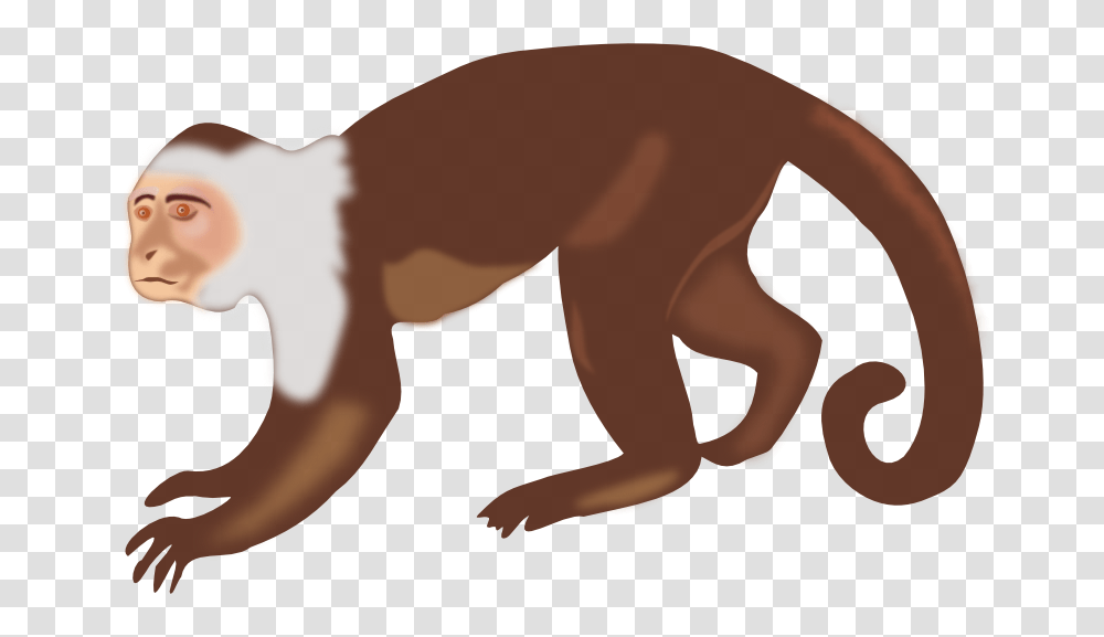 Monkey Clipart, Wildlife, Animal, Mammal, Person Transparent Png