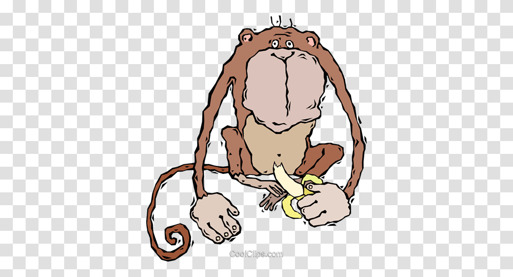 Monkey Eating A Banana Royalty Free Vector Clip Art Illustration, Face, Washing, Drawing, Outdoors Transparent Png