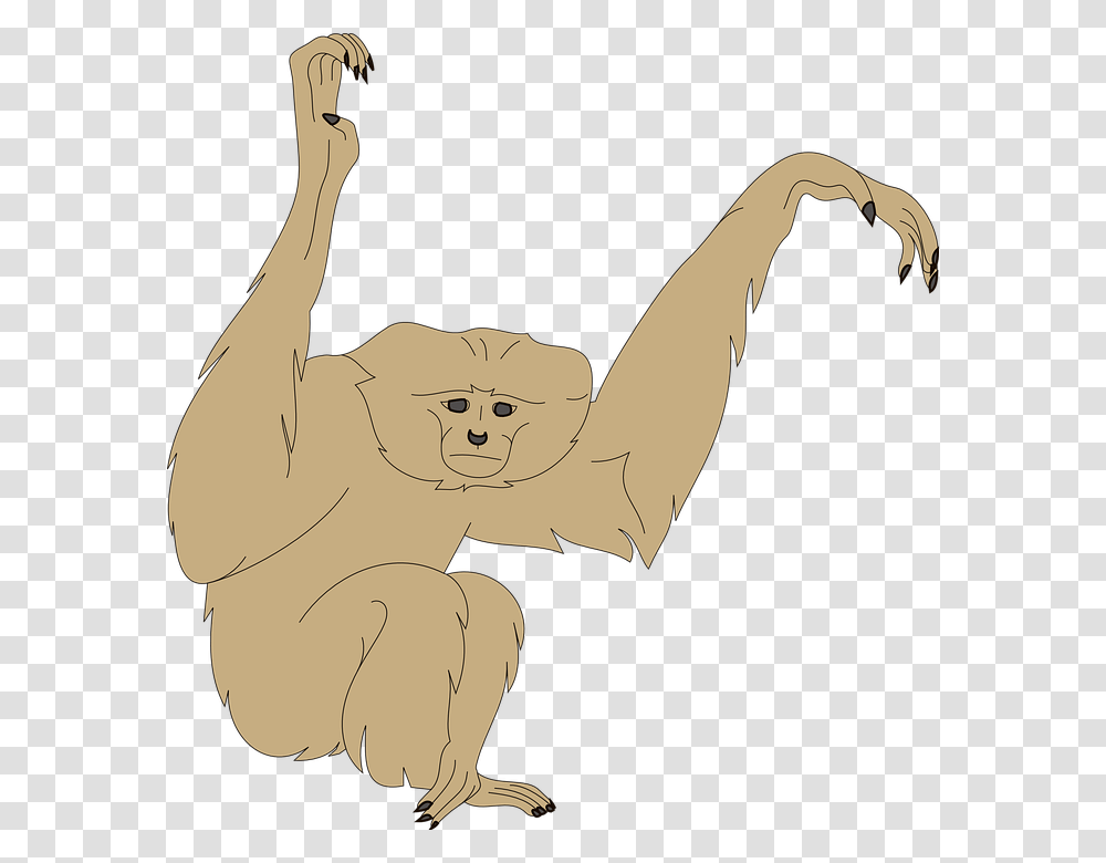 Monkey Face Arms Raised Animal Fur Wildlife Monkey Arms, Statue, Sculpture, Leisure Activities Transparent Png