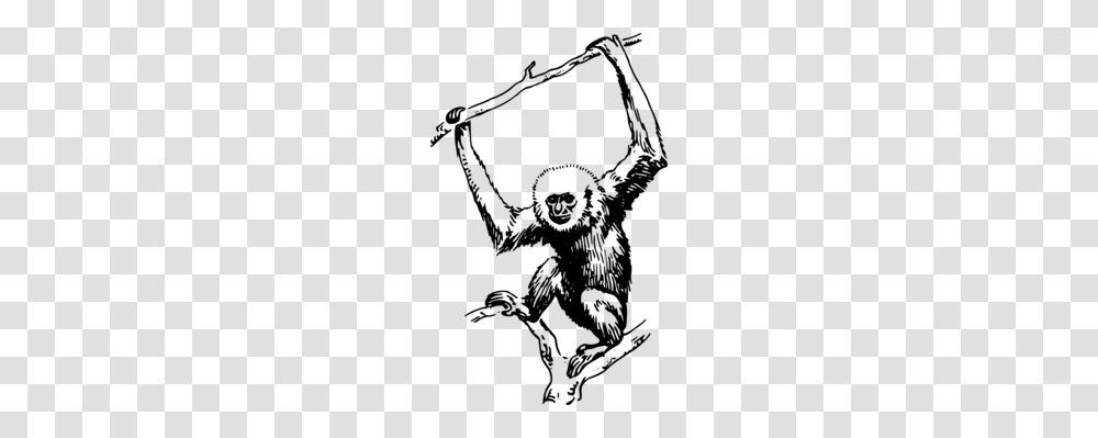 Monkey Gorilla Ape Computer Icons Windows Metafile, Gray, World Of Warcraft Transparent Png