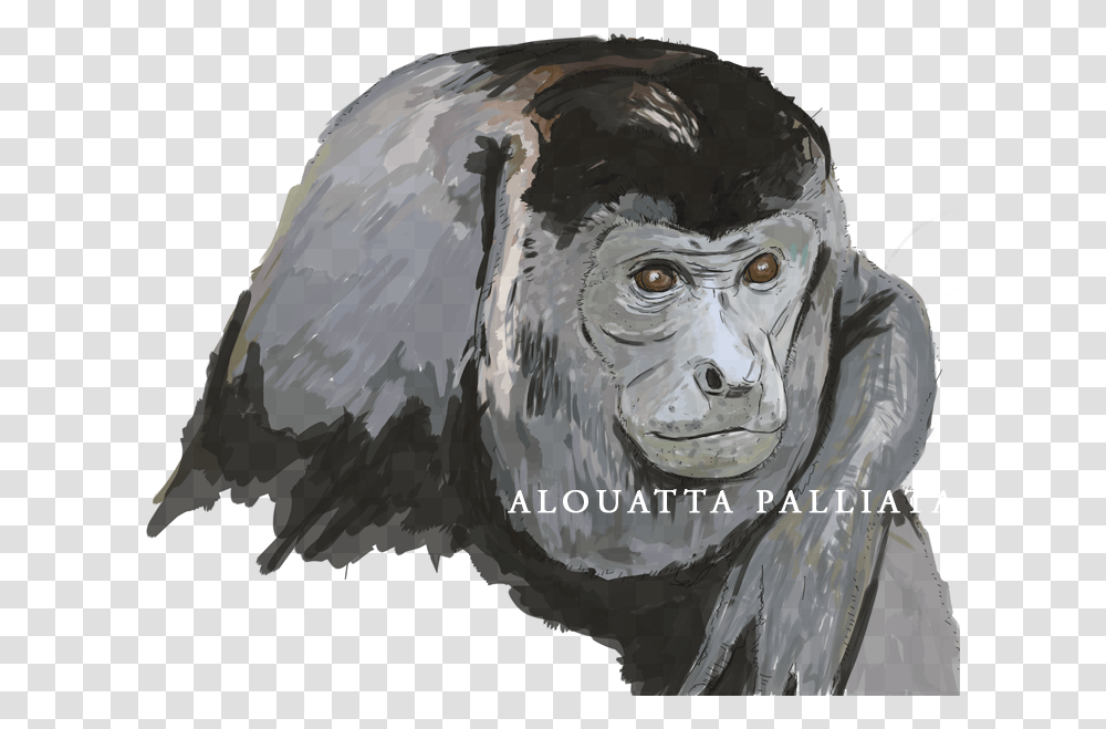 Monkey, Head, Alien, Ape, Wildlife Transparent Png