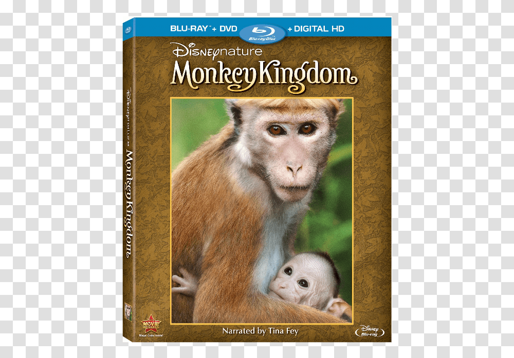 Monkey Kingdom Disneynature Monkey Kingdom Blu Ray, Wildlife, Mammal, Animal, Baboon Transparent Png