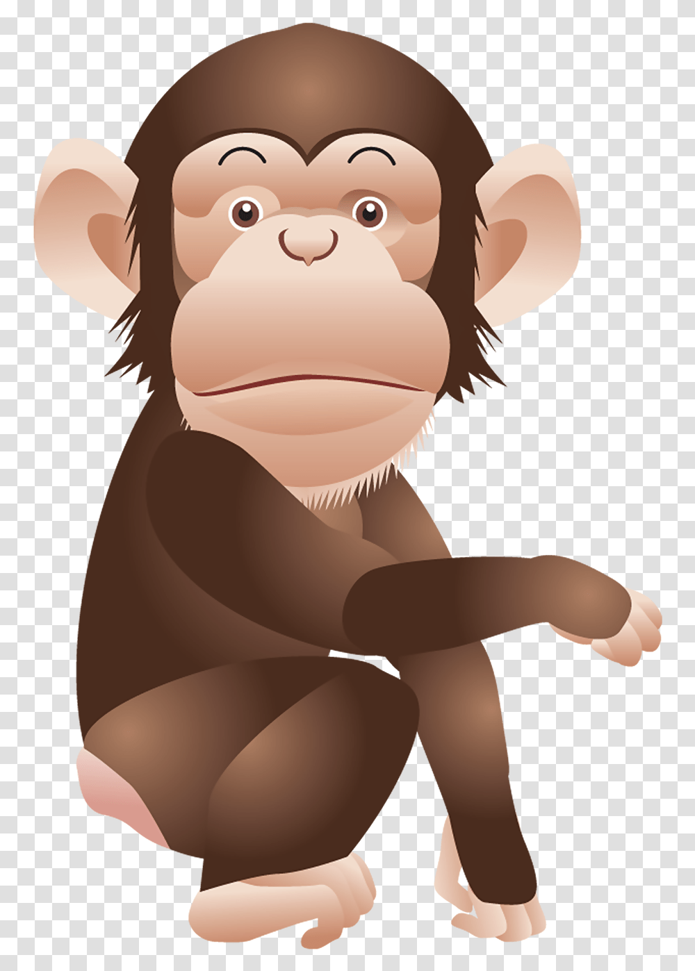 Monkey Monkey Clipart Background, Mammal, Animal, Snout, Face Transparent Png