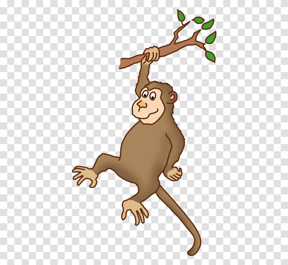 Monkey On Tree, Mammal, Animal, Wildlife, Person Transparent Png