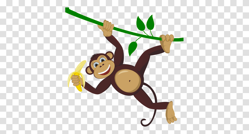 Monkey Pictures, Animal, Invertebrate, Insect, Wasp Transparent Png