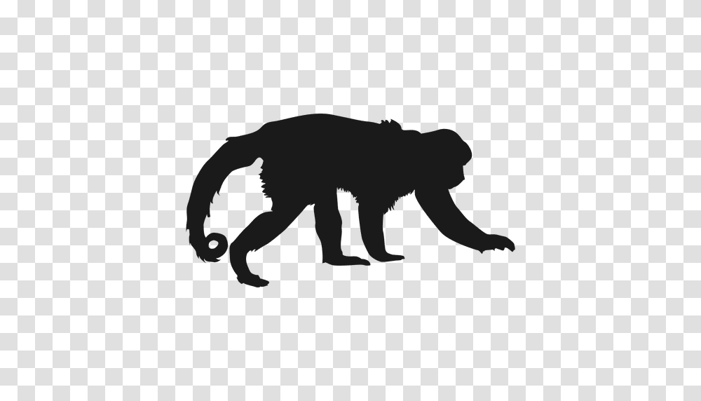 Monkey Silhouette, Lion, Wildlife, Mammal, Animal Transparent Png
