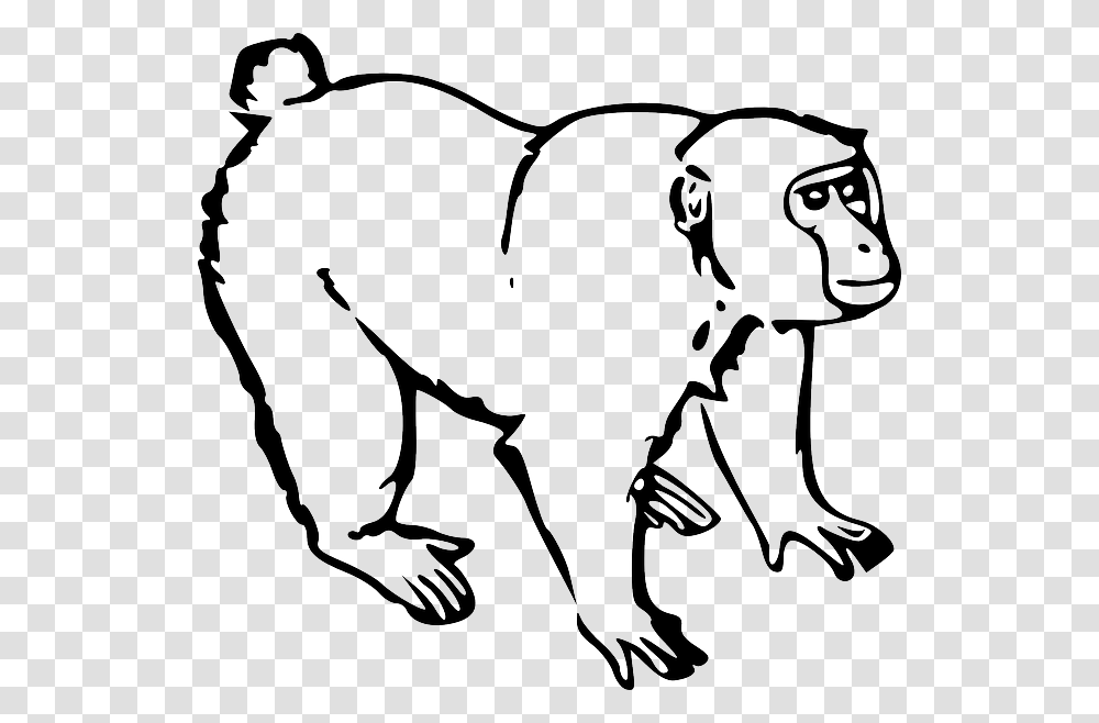 Monkey With A Crown Clipart Svg Library Monkey Black And White, Stencil, Animal, Mammal, Dog Transparent Png