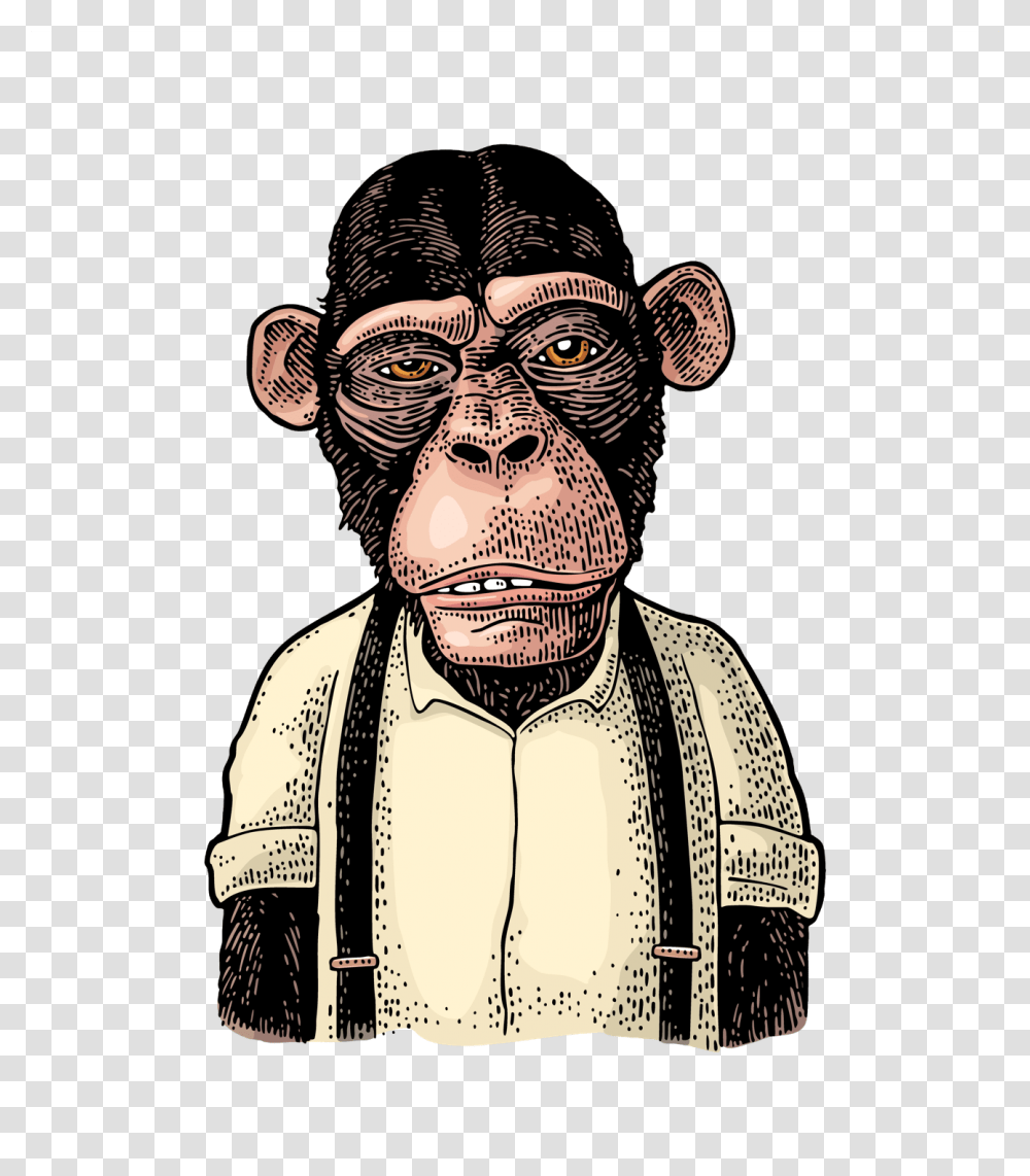 Monkeys Money, Person, Human, Face Transparent Png