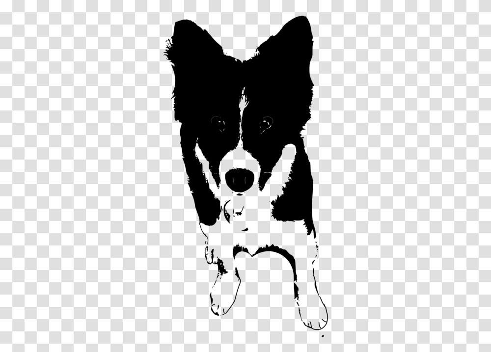 Monochrome Breed Dogs Clipart Black And White Collie Transparent Png